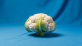 The lighting accentuates the cauliflower s surface and structure Royalty Free Stock Photo