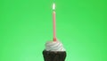 Lighting a blue candle on a delicious cupcake, green screen