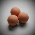 Lighting creates soft shadows around the eggs, enhancing their smooth Royalty Free Stock Photo
