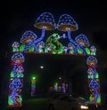 Lighting Decoration at Durga Puja Festival