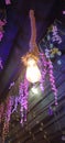 Lighting Decoration for Goddess Durga during Navratri festival, Durga Puja, Durg City, Chhattisgarh, year 2022.