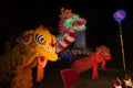 Lighting Dragons and Lion in Chinese New Year.