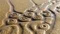 The lighting emphasizes the texture of the sand and the water Royalty Free Stock Photo