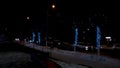 Trees decorated with falling led lights along a road