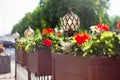Lighting, green decoration, restaurant outdoor, pots with flowering plants, decorative lamps