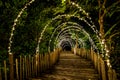 Lighting line hang on to the tree decor on to cave concept on the wood terrace walking way with darken around Royalty Free Stock Photo