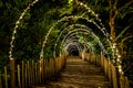 Lighting line hang on to the tree decor on to cave concept on the wood terrace walking way with darken around