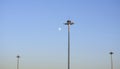 Lighting poles of the airfield against the background of a bright moon