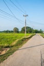 Lighting poles along the road