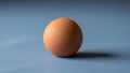Lighting is soft creating gentle highlights on the egg s surface Royalty Free Stock Photo
