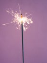 lighting sparkler pink background. High quality photo Royalty Free Stock Photo