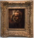 Lighting study of an old man with curly hair, Rembrandt