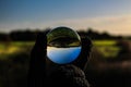 Lensball admiring the landscape around