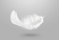 Lightly of White Fluffy Feather Falling Down in The Air. Abstract Feather Flying in Heavenly.