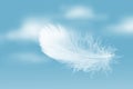 Lightly of White Fluffy Feather Floating in The Sky. Abstract Feather Flying in Heavenly.