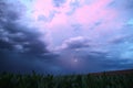 Lightning above the cornfields Royalty Free Stock Photo