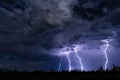 Lightning bolts strike in a storm cloud