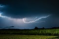 Spectacular ightning over a corn field Royalty Free Stock Photo