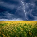 Lightning flashes Royalty Free Stock Photo