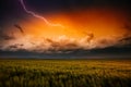 Lightning illuminates ominous storm clouds over farmland Royalty Free Stock Photo