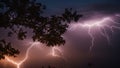 lightning in the night A lone tree stands in the dark, witnessing the power and beauty of a lightning storm. Royalty Free Stock Photo