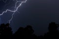 Lightning over the trees