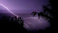 Lightning. Real flashes of lightning over the tree during a powerful thunderstorm .View of amazing lightning strikes on night dark Royalty Free Stock Photo