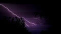 Lightning. Real flashes of lightning over the tree during a powerful thunderstorm .View of amazing lightning strikes on night dark Royalty Free Stock Photo