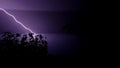 Lightning. Real flashes of lightning over the tree during a powerful thunderstorm .View of amazing lightning strikes on night dark Royalty Free Stock Photo