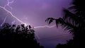 Lightning. Real flashes of lightning over the tree during a powerful thunderstorm .View of amazing lightning strikes on night dark Royalty Free Stock Photo