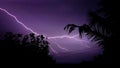 Lightning. Real flashes of lightning over the tree during a powerful thunderstorm .View of amazing lightning strikes on night dark Royalty Free Stock Photo