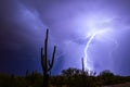 Lightning storm in the Arizona desert. Royalty Free Stock Photo