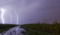 Lightning storm corn field Royalty Free Stock Photo
