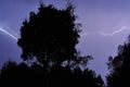 Lightning strike on a dark blue sky over the forest silhouette Royalty Free Stock Photo