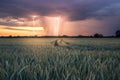 Lightning strike in a downburst during a summer thunderstorm at sunset