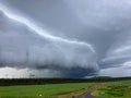Lightning strike on the horizon during an electrical storm on the grassland Royalty Free Stock Photo