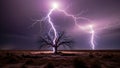 Lightning Strike Over Desert Tree Royalty Free Stock Photo