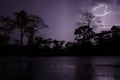 Lightning strikes during dramatic thunderstorm with silhouettes of trees and rain forest, Cameroon, Africa Royalty Free Stock Photo