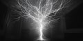 Lightning struck tree Royalty Free Stock Photo