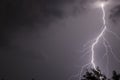 Huge fork lightnings and thunder during heavy summer storm. Royalty Free Stock Photo