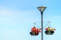 Lightpole with hanging flower pots Royalty Free Stock Photo