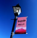 Lightpole with pink `Leadville Colorado Magic City` sign showing mountains at the bottom in white and pink shades