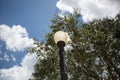 Lightpost with a tree in the background looking from ground level up towards the sky.