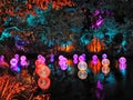 Lights art installation at the Light Festival in the Pukekura Park in New Plymouth in New Zealand Royalty Free Stock Photo