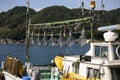 Lights from a fishing boat prepared to attract octopuses in Ine fishing village in Japan.