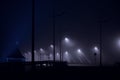 Lights in the fog on the night road