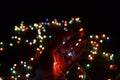 Lights in hand with bokeh background