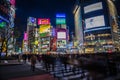 Lights of Shibuya Crossing // Tokyo, Japan