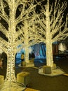 Lights of Wonder Christmas festival Royalty Free Stock Photo