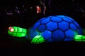 Lightscape turtle Royalty Free Stock Photo
